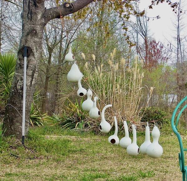 Country Bird Houses by Mangrove Mike is licensed under CC BY 2.0.